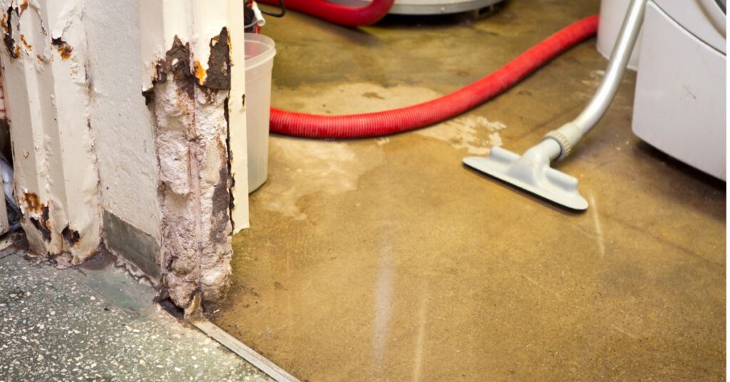Professional water damage restoration in progress