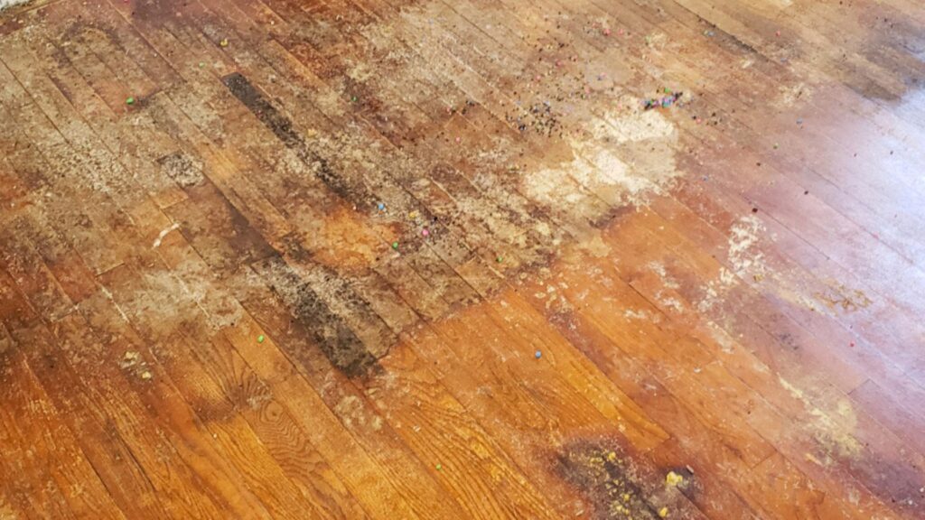 Carpet damage checklist showing repair vs replacement decisions